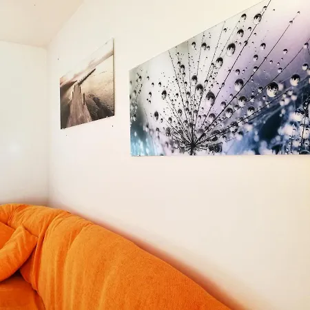 Apartment Brala *